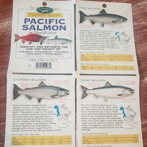 Fishing Laminated Pocket Guides - Set of 6 - Salt Water -West Coast -East Coast - Picture 11 of 13